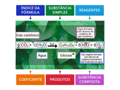 EQUAÇÃO QUÍMICA