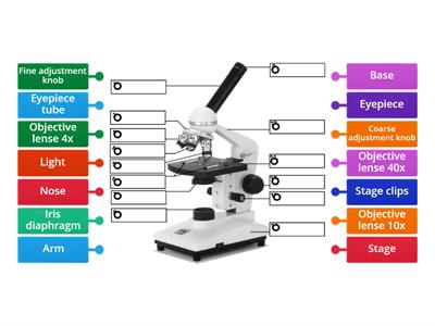 Identifying the Parts of a Microscope