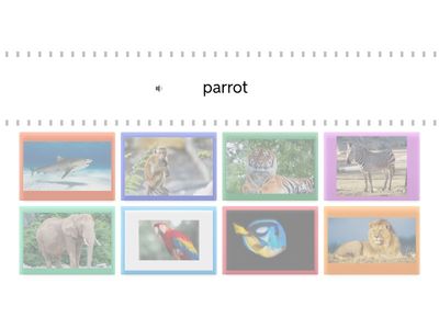 Super minds 1 At the zoo