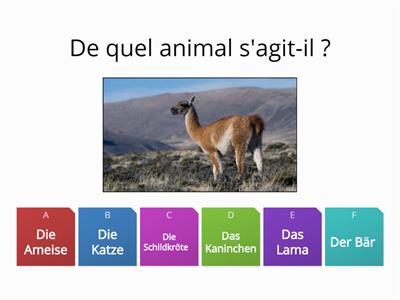 Allemand les animaux série 1