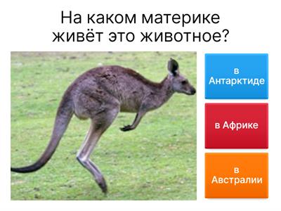 Copy of  Викторина (окружающий мир)