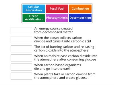 Carbon Cycle 