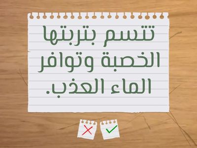 جغرافيا الصف الخامس الابتدائي 