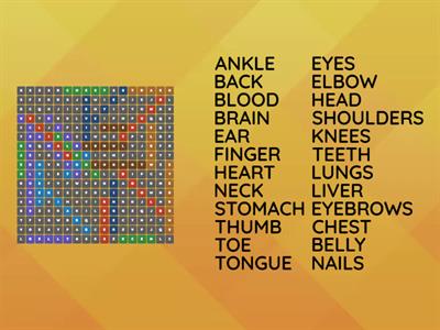 Prepare 3 unit 17 body parts