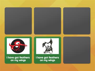 What do they look like?