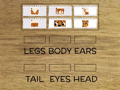 Body parts -Bright Ideas Starter-