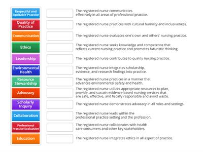 American Nurses Association (ANA) Standards of Performance