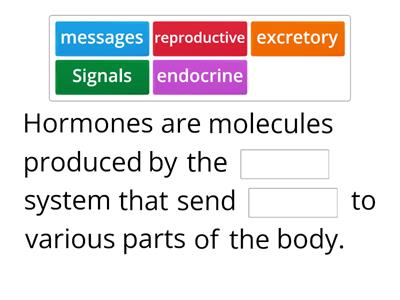 Hormonal Horses 