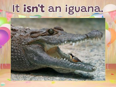 Grade 1 Grammar Goals Unit 2 Flying Fruit