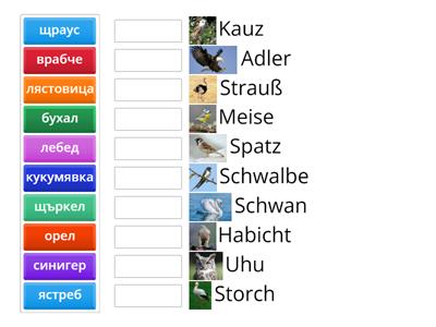 Коя е думата на български език за тези птици?