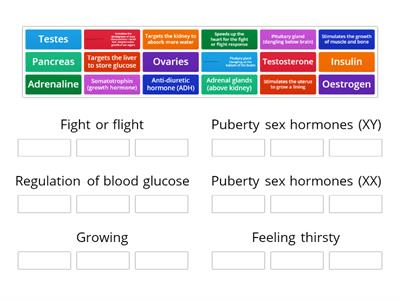 N5 Biology 2.2b Hormonal Control