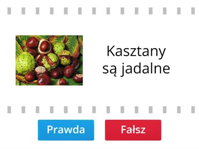 głoska sz w zdaniach