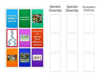 Biodiversity Types Sort