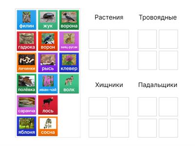 Пищевая цепь