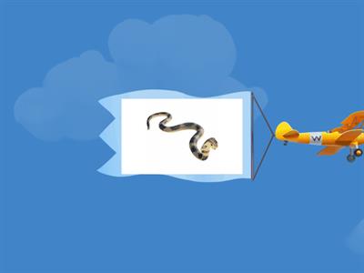 TrainingCognitivo.it | Animali