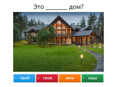 Притяжательные местоимения. РКИ