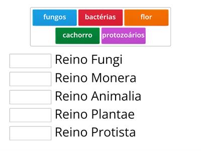 Classificação dos seres vivos