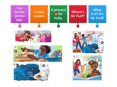 Where is Mr Fluff? (labelled diagram)