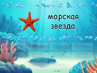 Рыбы и водные обитатели. Один и много.