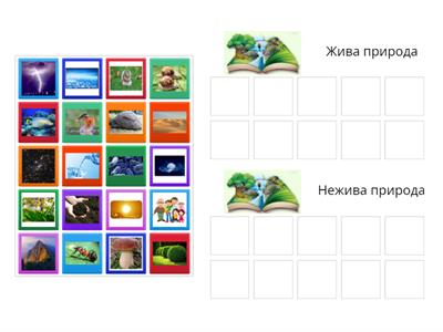 Жива та нежива природа