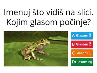 Izgovor i pisanje glasova Š, Ž, LJ, NJ