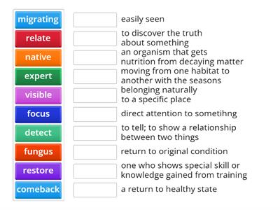 My View Grade 5 Unit 2 Week 2