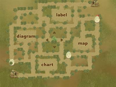 Text and Graphic Features - Maze Chase