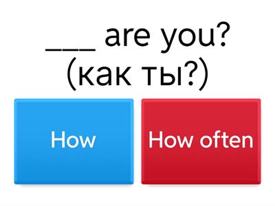 Questions with How/How often?