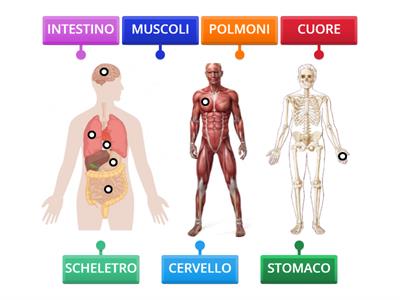 Com'è fatto il mio corpo: tutto quello che ho imparato