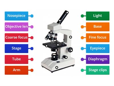 Labeling Microscope