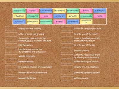 English for health care professionals: Modes of administration