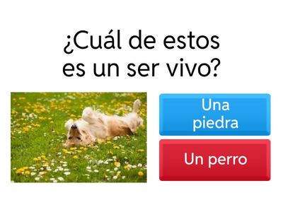 Seres vivos y elementos inertes