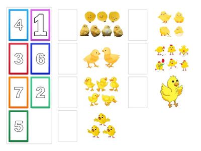 Une el número con la cantidad. 