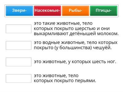 Окружающий мир, 1 класс