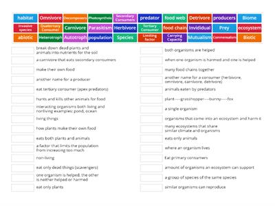 Ecosystem Vocabulary