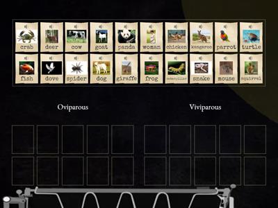   Classify : Viviparous and Oviparous 