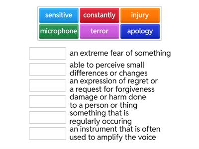 Author's Perspective/Point of View Unit Vocabulary 