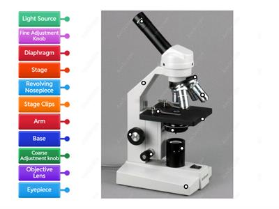 Parts of a Microscope