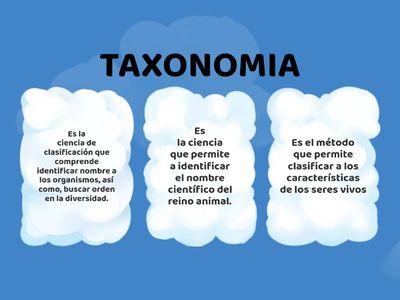 CLASIFICACIÓN DE LOS SERES VIVOS