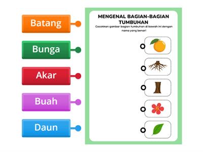 Menjodohkan bagian Tumbuhan