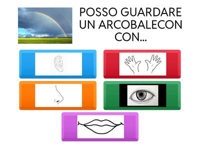 CON I CINQUE SENSI POSSO.....