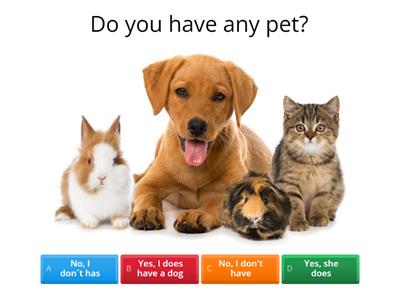 Simple Present Tense 