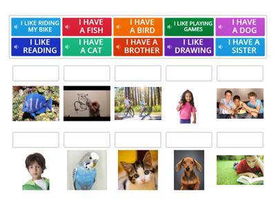 Getting to know each other