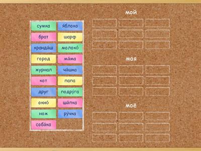 Мой, моя, моё