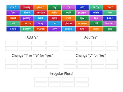 Regular and Irregular Plural Nouns