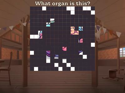 Cambridge Primary - Science - Unit: Body