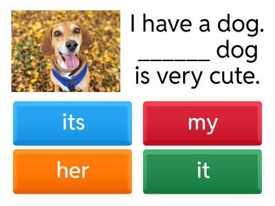 Possessive adjectives (sentences A1)