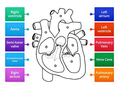 Heart Label