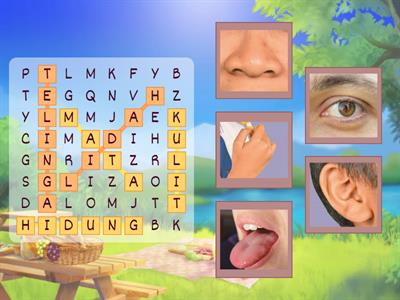 Pendidikan Sains Sosial dan Alam Sekitar Tingkatan 1