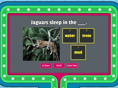 10 Jungle Animals for Kids